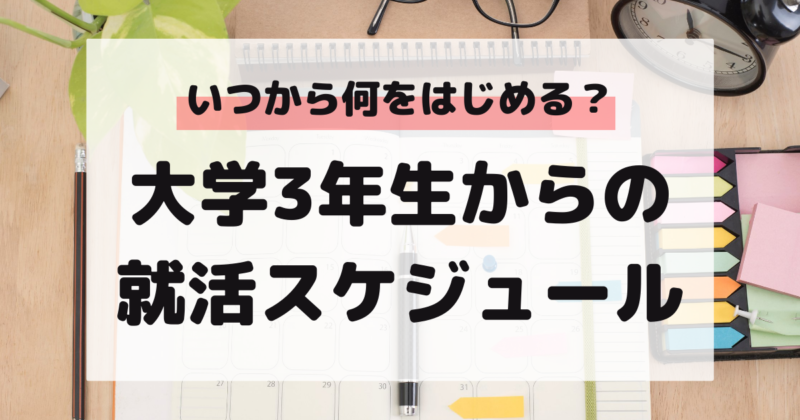 マドゴシ_就活スケジュール